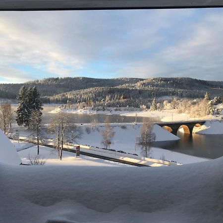 Appartement Sunset, 28Qm Schluchsee Esterno foto